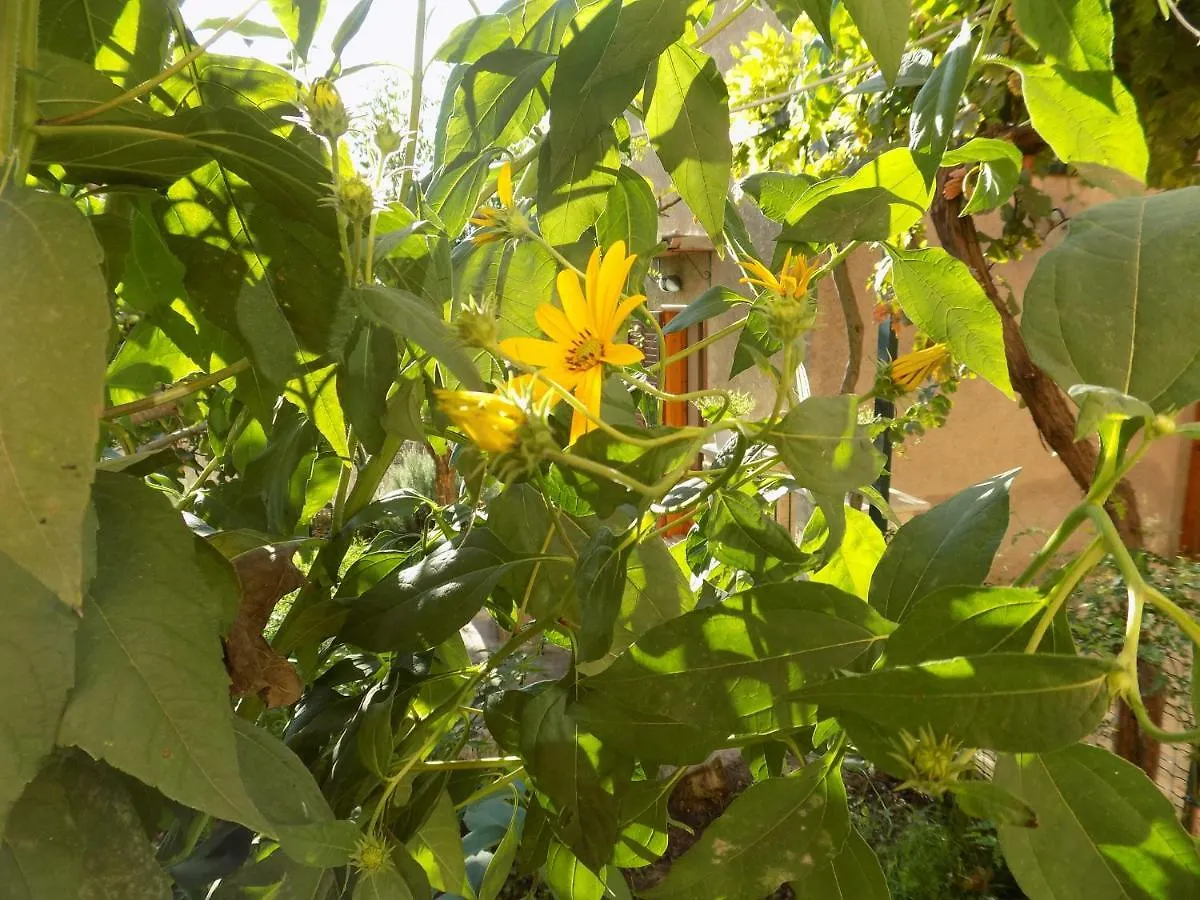 Garden&House Amore Vero Modica İtalya